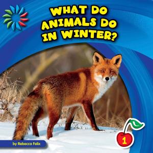 Cover of the book What Do Animals Do in Winter? by Mari Schuh