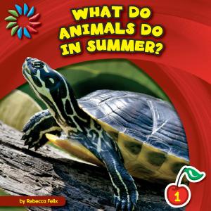 Cover of the book What Do Animals Do in Summer? by Doraine Bennett