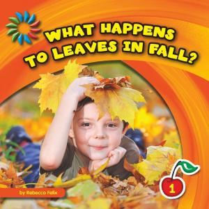 bigCover of the book What Happens to Leaves in Fall? by 