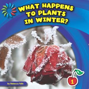 Cover of the book What Happens to Plants in Winter? by Eleanor Cardell