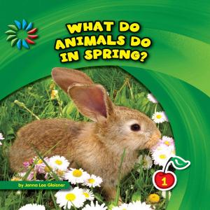 Cover of the book What Do Animals Do in Spring? by C.M. Johnson