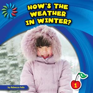 Cover of the book How's the Weather in Winter? by Debbie Shiwbalak M.A. CCC-SLP, Alpin Rezvani M.A. CCC-SLP