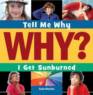 Cover of the book I Get Sunburned by Barbara deRubertis