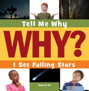 Book cover of I See Falling Stars