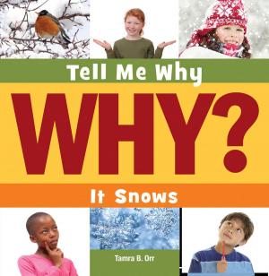 Cover of the book It Snows by Barbara deRubertis