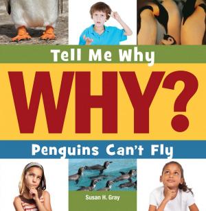 bigCover of the book Penguins Can't Fly by 