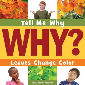 Cover of the book Leaves Change Color by Rob Cleveland