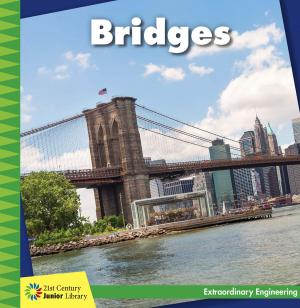 Cover of the book Bridges by Wendy Hinote Lanier
