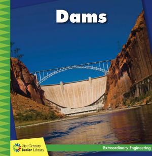 Cover of the book Dams by Lisa Dalrymple