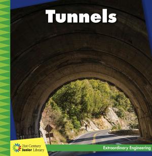 Cover of the book Tunnels by Rebecca Felix