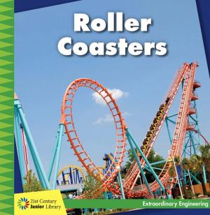 bigCover of the book Roller Coasters by 