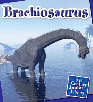 Cover of the book Brachiosaurus by Rebecca Felix