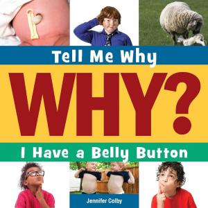 Cover of the book I Have a Bellybutton by Katie Wilson