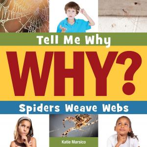 Cover of the book Spiders Weave Webs by Megan Kopp