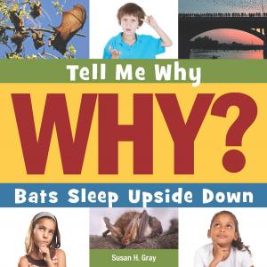 Cover of the book Bats Sleep Upside Down by Joanne Mattern