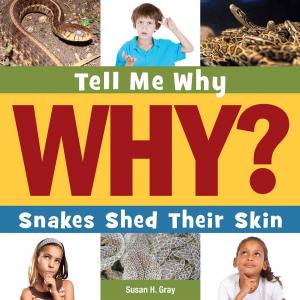 Cover of the book Snakes Shed their Skin by Jennifer Colby