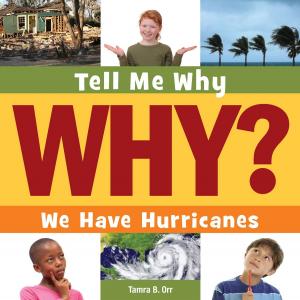 Book cover of We Have Hurricanes