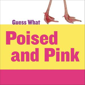 Cover of the book Poised and Pink: Flamingo by Michael Shoulders