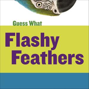 Cover of the book Flashy Feathers: Macaw by George Bridge
