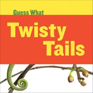 Cover of Twisty Tails: Chameleon