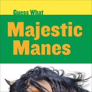 Book cover of Majestic Manes: Horse