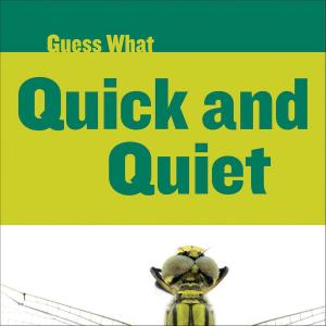Cover of the book Quick and Quiet: Dragonfly by Rhonda Gowler Greene