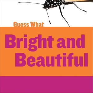 Cover of the book Bright and Beautiful: Butterfly by Aaron Hoffmire