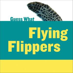 Cover of the book Flying Flippers: Sea Turtle by Stephanie P. Gilman