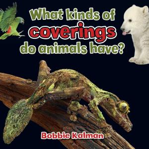 Cover of the book What kinds of coverings do animals have? by Barbara deRubertis