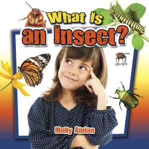 Cover of the book What is an insect? by C.M. Johnson