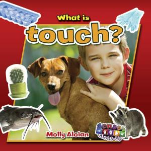 Cover of the book What is touch? by Eleanor May