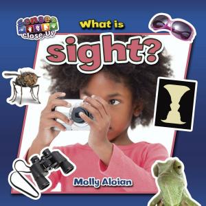 Cover of the book What is sight? by Jenna Lee Gleisner
