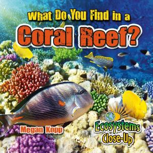 Cover of the book What Do You Find in a Coral Reef? by Barbara  Bakowski