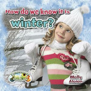 bigCover of the book How do we know it is winter? by 