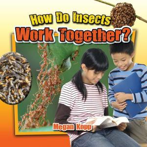 Cover of the book How Do Insects Work Together? by Shannon Welbourn