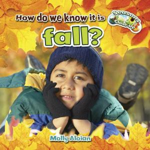 Cover of the book How do we know it is fall? by Martha Hamilton, Mitch Weiss