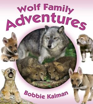 Cover of the book Wolf Family Adventures by Katie Marsico