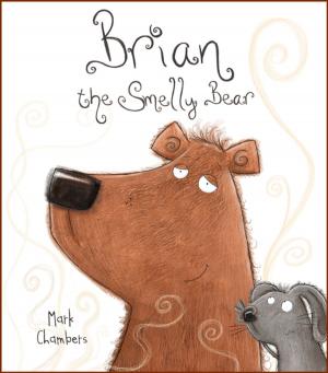 Book cover of Brian the Smelly Bear
