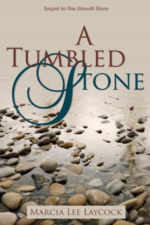 Cover of the book A Tumbled Stone by Eileen Petersen