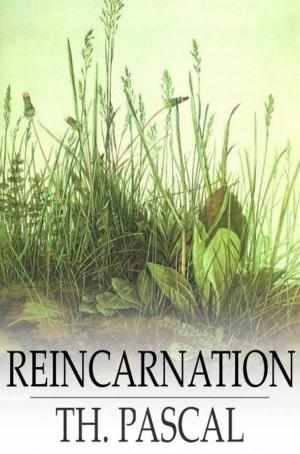 Cover of the book Reincarnation by Nathaniel Hawthorne