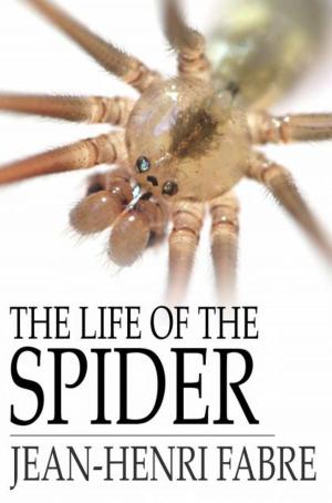 Cover of the book The Life of the Spider by Grant Allen