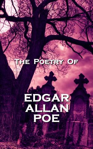 Cover of the book The Poetry Of Edgar Allan Poe by Patrick M Cunningham