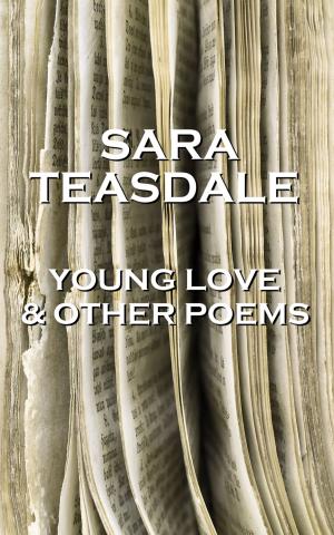Book cover of Sara Teasdale - Young Love & Other Poems