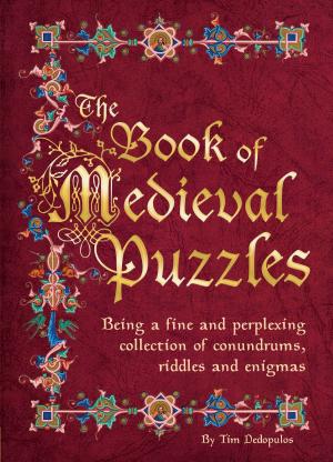Cover of the book The Book of Medieval Puzzles by Geoff Tibballs