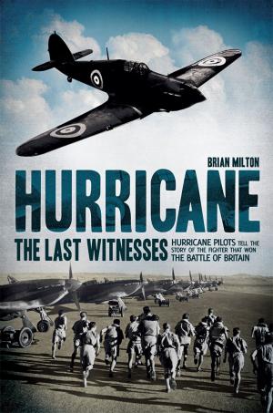 Cover of the book Hurricane by Colin Irwin