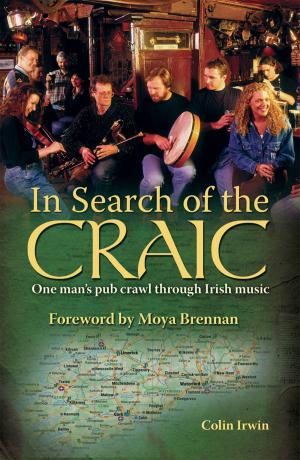 Cover of the book In Search of the Craic by Nick Holt