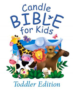 Book cover of Candle Bible for Kids Toddler Edition