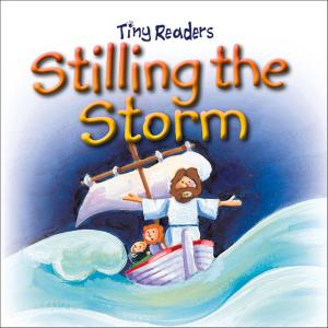 Book cover of Stilling The Storm