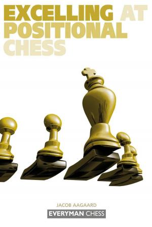 Cover of the book Excelling at Positional Chess by Jacob Aagaard
