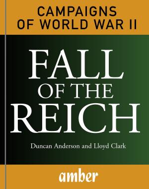 bigCover of the book Campaigns of WWII: Fall of the Reich by 